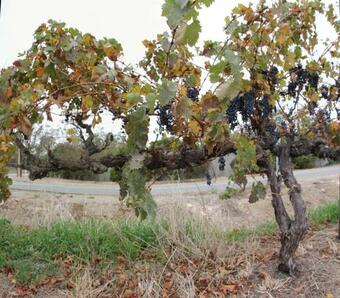 Bed & Breakfast Horrocks Road Lodge