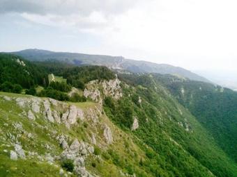 Mountain Family House