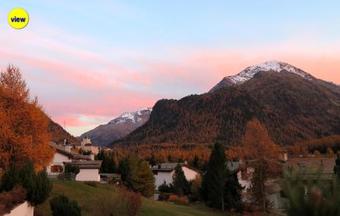 Chesetta Da Las Fluors