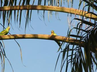 Fazenda Boa Esperan�a Hotelaria