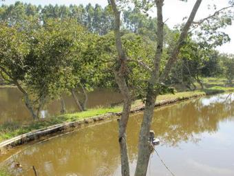 Hostal Arte De Minas