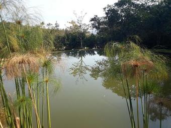 Lodge Cabanas Ecol�gicas Agua�