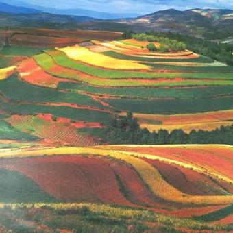 Agroturismo Red Land Plough Farm Stay