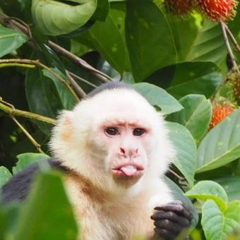 Hostal Valley Of Dreams Eco Lodge