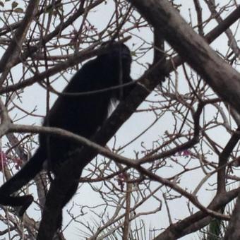 Bed & Breakfast Casa Vistas Del Pacifico