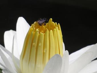 Apartamento Jardines Secretos