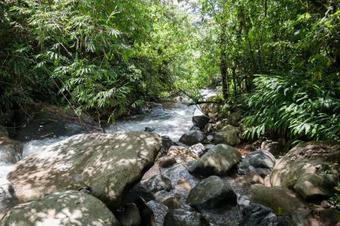 Chirripo Soul Sanctuary