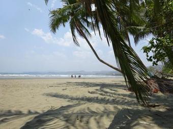 Albergue Alouatta Playa Coyote