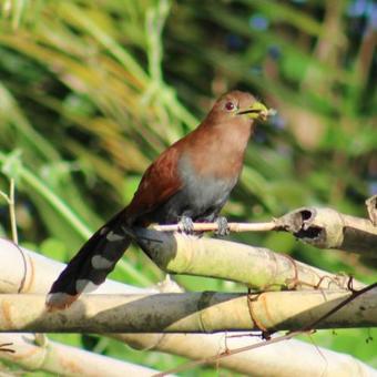 Lodge Posada Rural Casa Aquiares