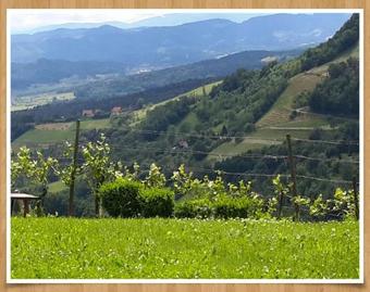 Agroturismo Weingut Rupp