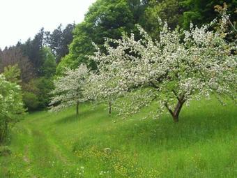 Apartamento Vogtshof