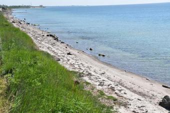 Mejerig�rden Bed And Breakfast