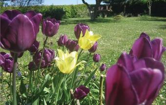 One-bedroom Holiday Home In Nakskov