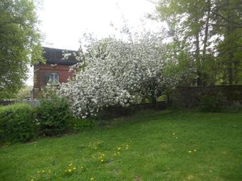 Ferme De Guersignies B&B