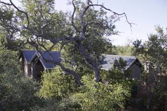 Bed & Breakfast Nyaleti Lodge