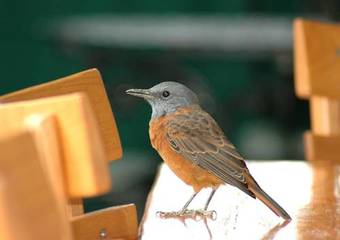 Hostal The Retreat At Groenfontein