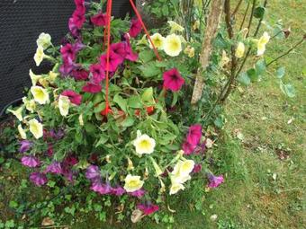 Bed & Breakfast Aurore De Beaufort