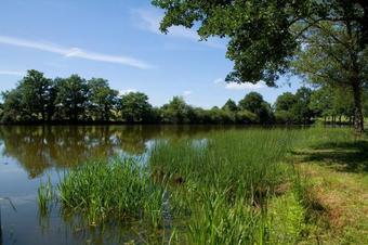 Hotel La Maison Du Lac