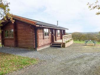 Bluebells, Beaworthy