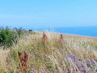 7 Coastguard Cottages