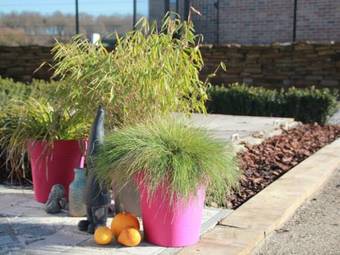 Holiday Home La Villa Du Bois Fairol Vodelee