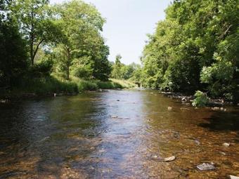 Valley Lodge, Wonham Bampton