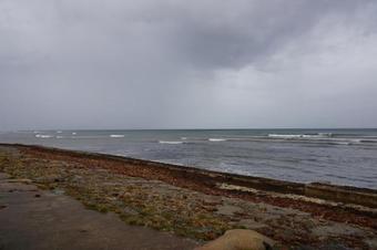 Bed & Breakfast Seashore Cottage