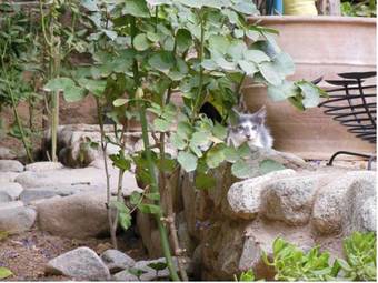 Hostal Au Bord De L'eau