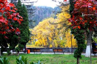 Apartament Sofia