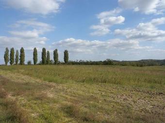 Holiday Home In Balatonendred 33661