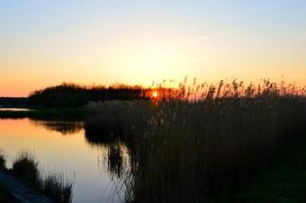 Hostal Florianus Vendeghaz