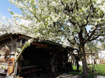 S�nta R�ka Apartman