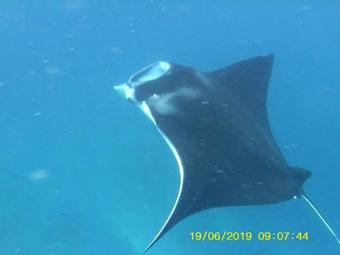 Hostal The Welcome Inn