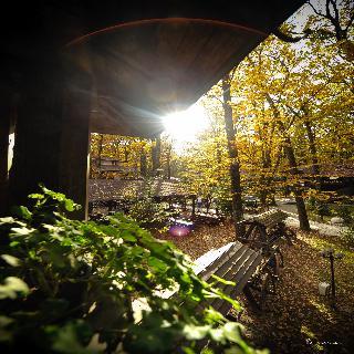 Hotel Cornul Vanatorului