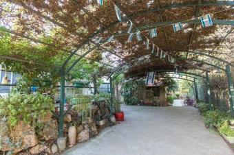 Leyad Hashmura Lodging