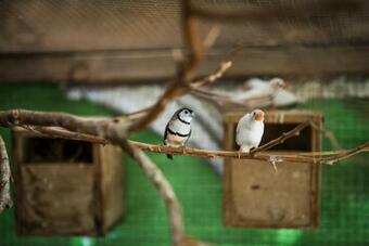 Apartamento Vered's Country House