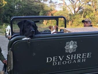 Hotel Dev Shree Deogarh