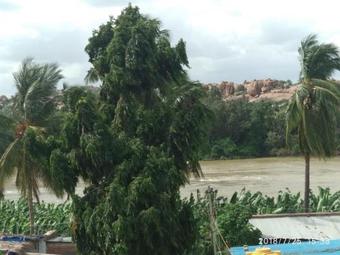 Hostal Vicky's Guest House