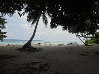 Hotel Gold India Beach Resort