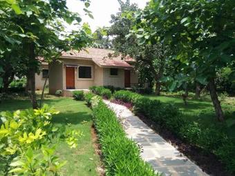 Olive Resort & Villas