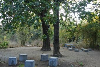 Hotel Tiger N Woods Resort