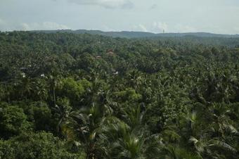 Hotel Hazmi AC Rooms