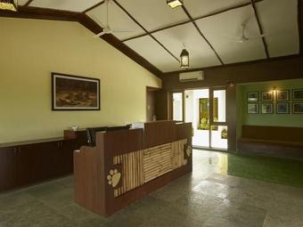 Asiatic Lion Lodge
