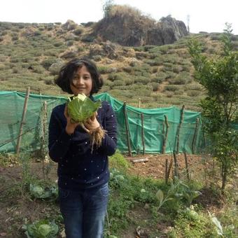 Bed & Breakfast Constantia Cottage Homestay