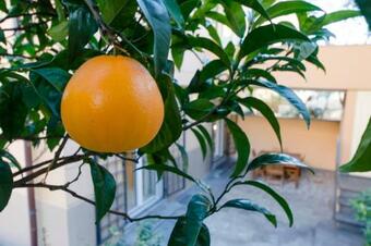 Apartamento Altido Nervi Charming Flat Santarosa