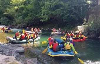 Apartamentos Papaveri