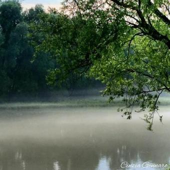 Bed & Breakfast Tra Sogno E Anima