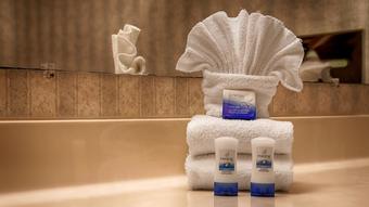 Hotel Best Western Olympic Inn