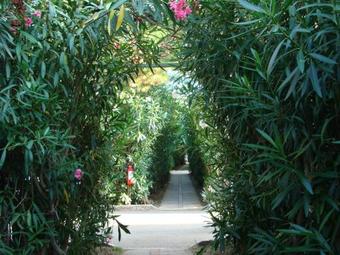 Villaggio Camping Le Ninfe Del Mare