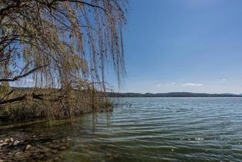Agroturismo Lagolivo